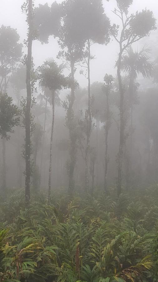 Tree Blanche Otel Munnar Dış mekan fotoğraf