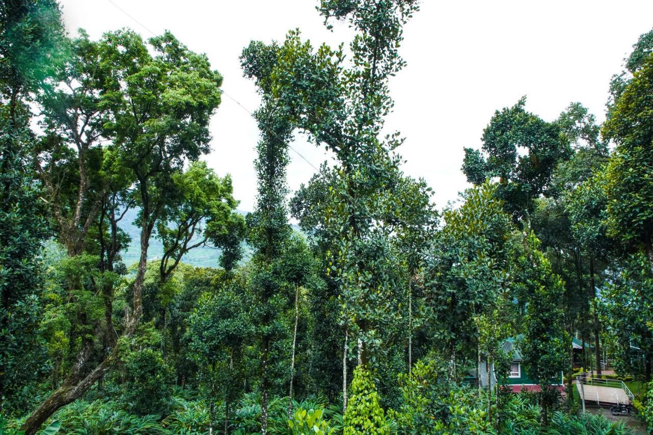 Tree Blanche Otel Munnar Dış mekan fotoğraf